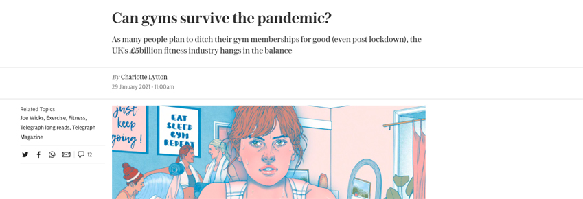 Snippet from The Telegraph article
